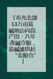 寿光北部13万亩盐碱地迈向高产田：八年改碱夺粮，盐碱滩拱起“金粮仓”