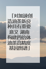 对加速创造油茶新良种具有重要意义 湖南构建四倍体油茶高精度基因图谱