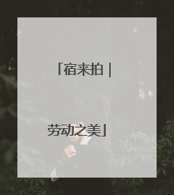宿来拍｜劳动之美