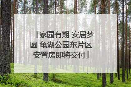 家园有期 安居梦圆 龟湖公园东片区安置房即将交付