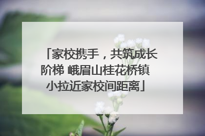 家校携手，共筑成长阶梯 峨眉山桂花桥镇小拉近家校间距离