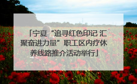 宁夏“追寻红色印记 汇聚奋进力量”职工区内疗休养线路推介活动举行