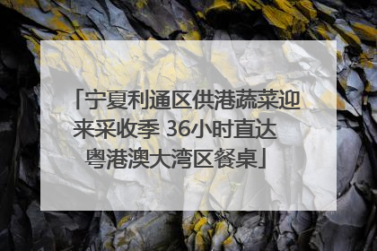 宁夏利通区供港蔬菜迎来采收季 36小时直达粤港澳大湾区餐桌