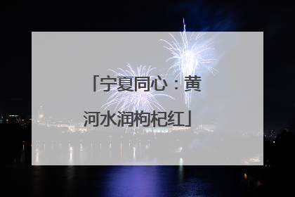 宁夏同心：黄河水润枸杞红