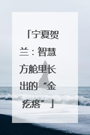 宁夏贺兰：智慧方舱里长出的“金疙瘩”
