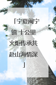 宁夏闽宁镇 十公里火炬传承共赴山海情深