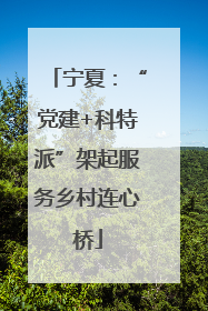 宁夏：“党建+科特派”架起服务乡村连心桥