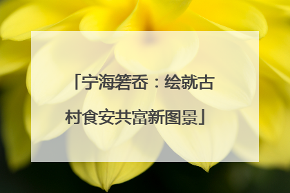 宁海箬岙：绘就古村食安共富新图景