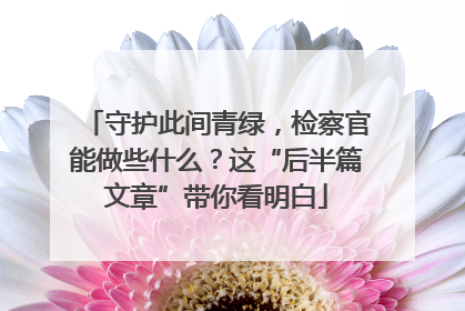 守护此间青绿，检察官能做些什么？这“后半篇文章”带你看明白