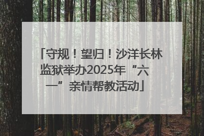 守规！望归！沙洋长林监狱举办2025年“六一”亲情帮教活动