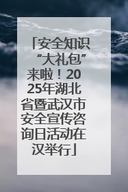 安全知识“大礼包”来啦！2025年湖北省暨武汉市安全宣传咨询日活动在汉举行