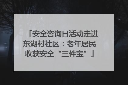 安全咨询日活动走进东湖村社区：老年居民收获安全“三件宝”