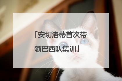 安切洛蒂首次带领巴西队集训