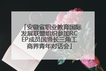 安徽省职业教育国际发展联盟组织参加RCEP成员国暨长三角工商界青年对话会