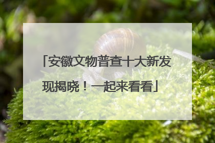 安徽文物普查十大新发现揭晓！一起来看看