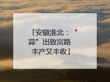 安徽淮北：“蒜”出致富路 丰产又丰收