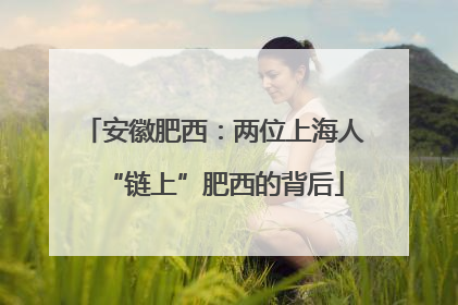 安徽肥西：两位上海人“链上”肥西的背后