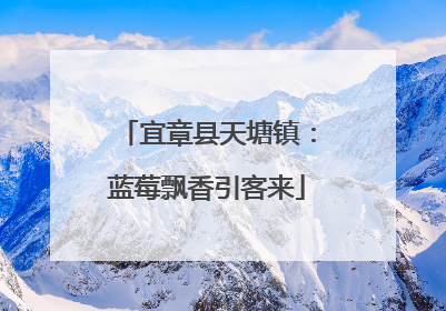 宜章县天塘镇：蓝莓飘香引客来