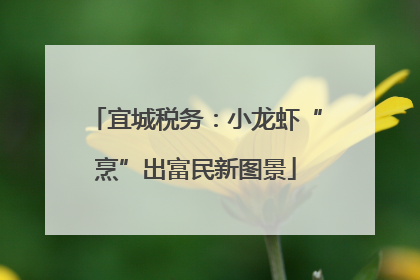宜城税务：小龙虾“烹”出富民新图景