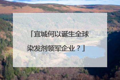 宜城何以诞生全球染发剂领军企业？