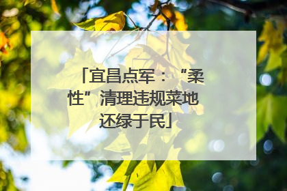 宜昌点军：“柔性”清理违规菜地 还绿于民