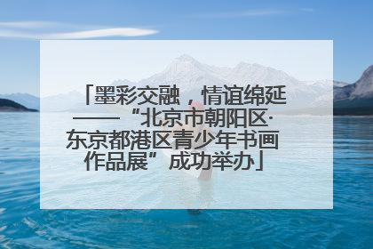 墨彩交融，情谊绵延——“北京市朝阳区·东京都港区青少年书画作品展”成功举办