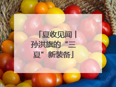 夏收见闻丨孙洪旗的“三夏”新装备