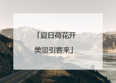 夏日荷花开 美景引客来