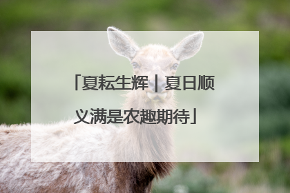 夏耘生辉｜夏日顺义满是农趣期待