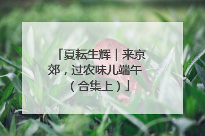 夏耘生辉｜来京郊，过农味儿端午（合集上）