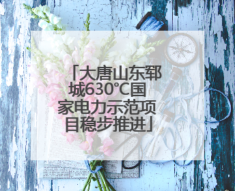 大唐山东郓城630℃国家电力示范项目稳步推进