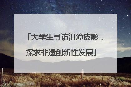 大学生寻访沮漳皮影，探求非遗创新性发展