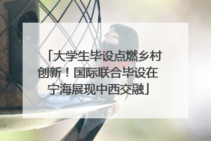 大学生毕设点燃乡村创新！国际联合毕设在宁海展现中西交融