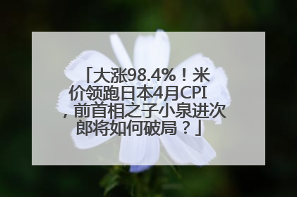 大涨98.4%！米价领跑日本4月CPI，前首相之子小泉进次郎将如何破局？