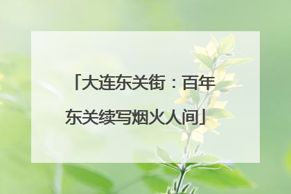 大连东关街：百年东关续写烟火人间