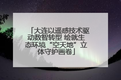 大连以遥感技术驱动数智转型 绘就生态环境“空天地”立体守护画卷