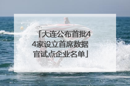 大连公布首批44家设立首席数据官试点企业名单