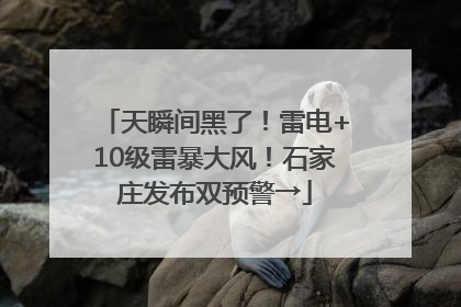 天瞬间黑了！雷电+10级雷暴大风！石家庄发布双预警→