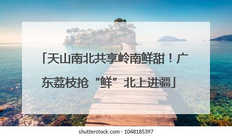 天山南北共享岭南鲜甜！广东荔枝抢“鲜”北上进疆