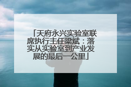 天府永兴实验室联席执行主任梁斌：落实从实验室到产业发展的最后一公里