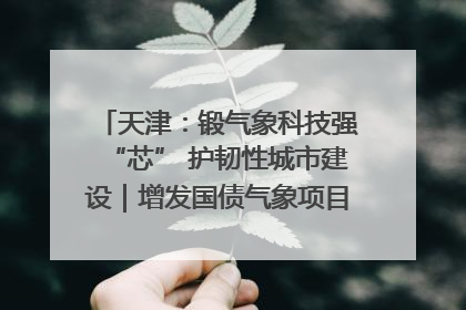 天津：锻气象科技强“芯” 护韧性城市建设｜增发国债气象项目落地见效系列报道