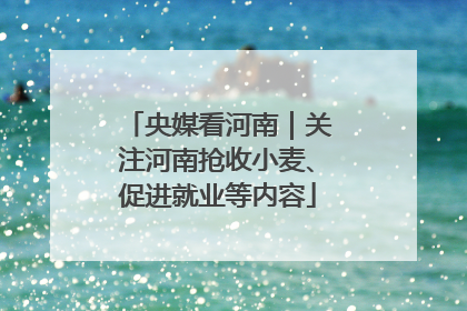 央媒看河南｜关注河南抢收小麦、促进就业等内容