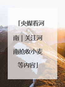 央媒看河南｜关注河南抢收小麦等内容