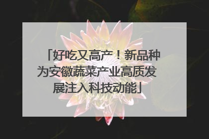 好吃又高产！新品种为安徽蔬菜产业高质发展注入科技动能