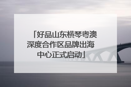 好品山东横琴粤澳深度合作区品牌出海中心正式启动