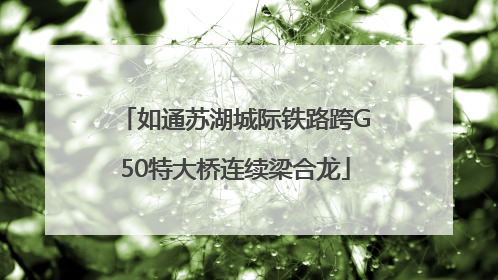如通苏湖城际铁路跨G50特大桥连续梁合龙