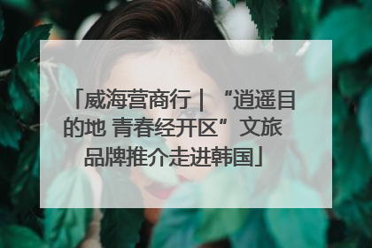 威海营商行｜“逍遥目的地 青春经开区”文旅品牌推介走进韩国