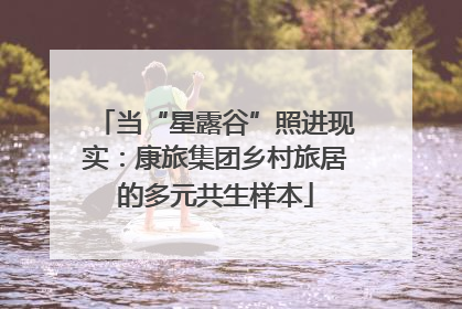 当“星露谷”照进现实：康旅集团乡村旅居的多元共生样本