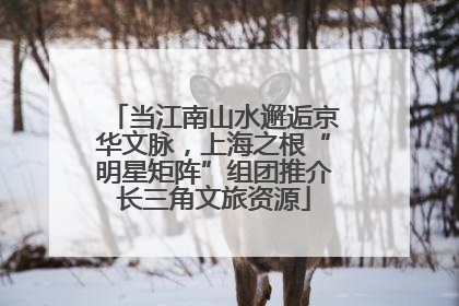 当江南山水邂逅京华文脉，上海之根“明星矩阵”组团推介长三角文旅资源