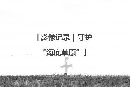 影像记录｜守护“海底草原”